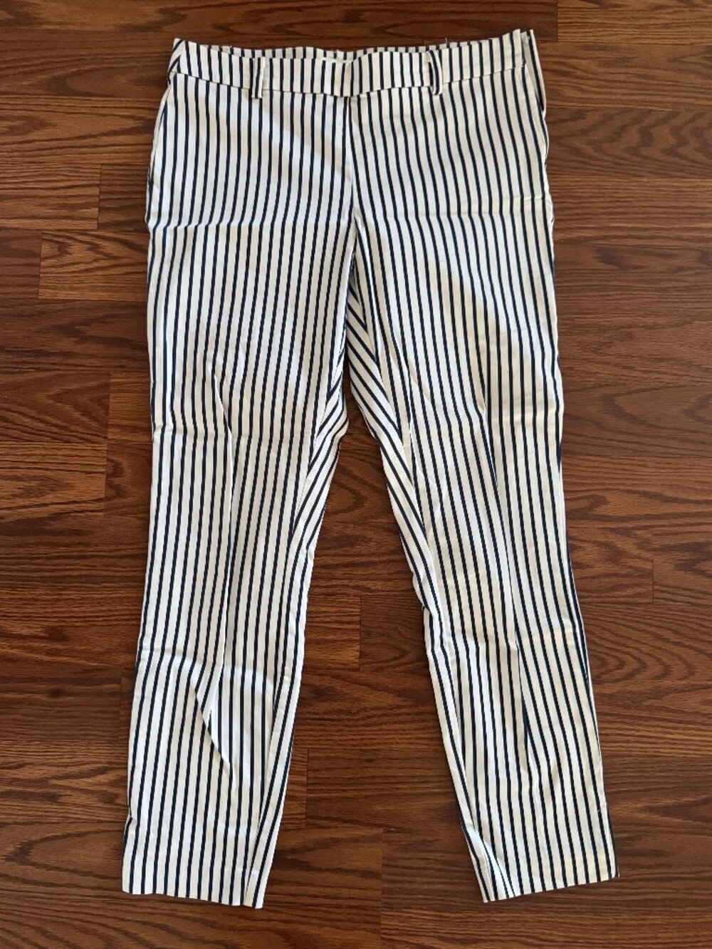H&M Women’s White Blue Striped Ankle Straight leg Pants Size 10 Side Zip